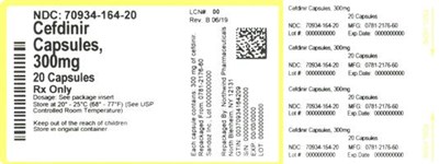 70934 164 20 Master Bottle Label Approval   Rev B 06 19